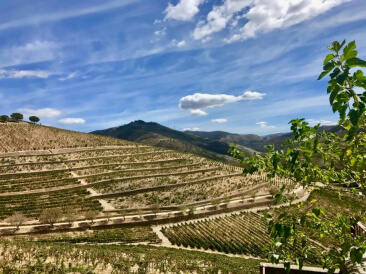 myyoga-retreats-porto-7 myyoga-retreats-porto-7