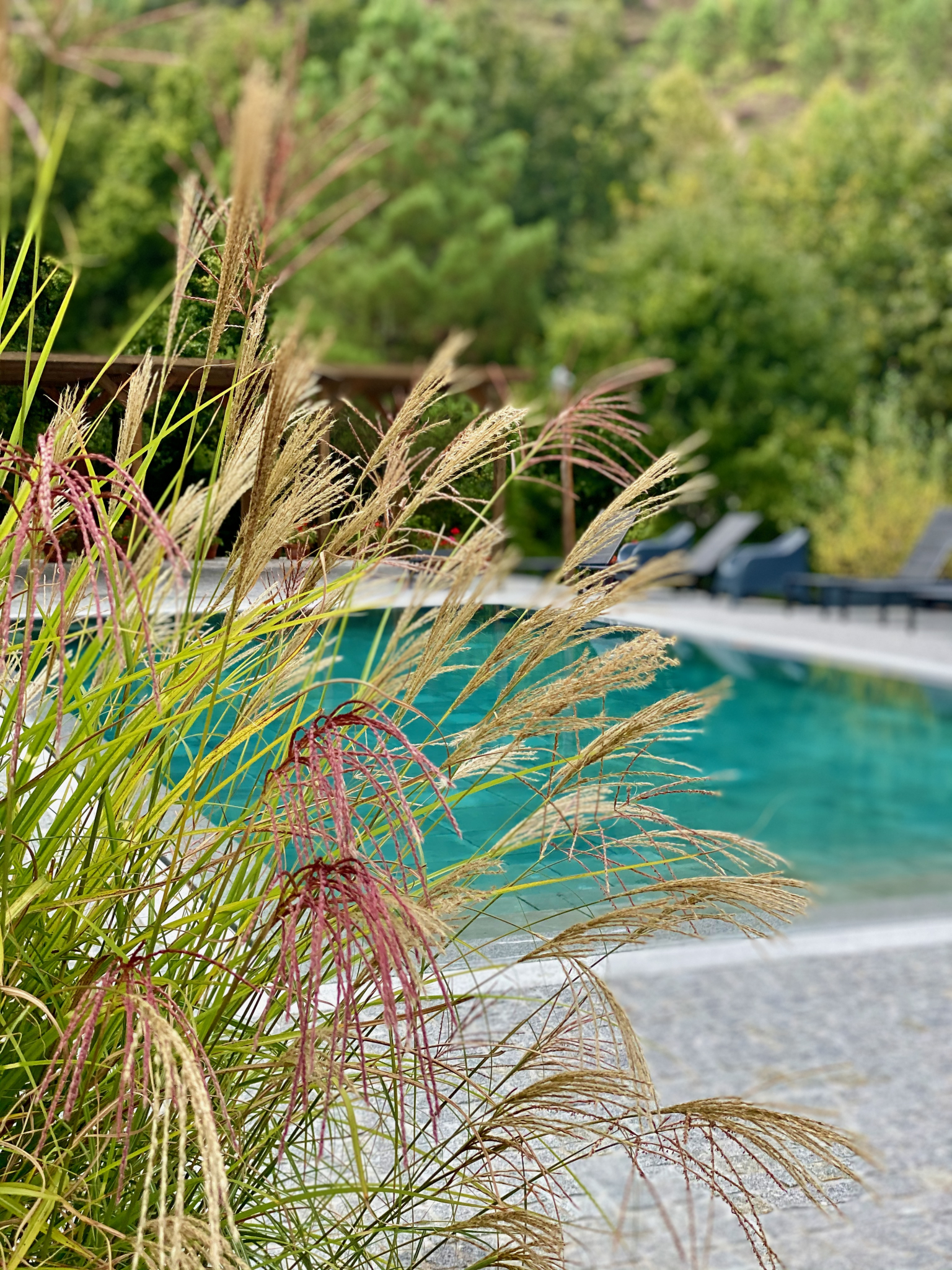 myyoga-teacher-training-b4 myyoga-teacher-training-b4