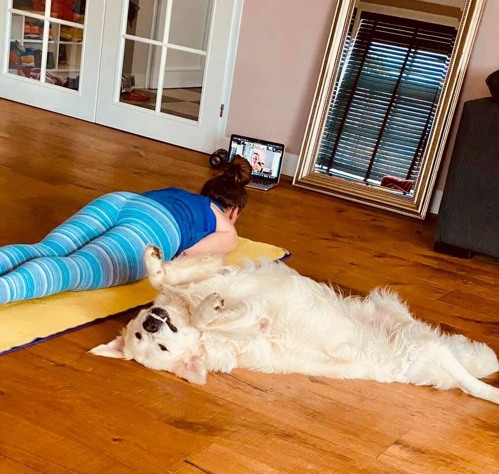 myyoga-virtual-school-3