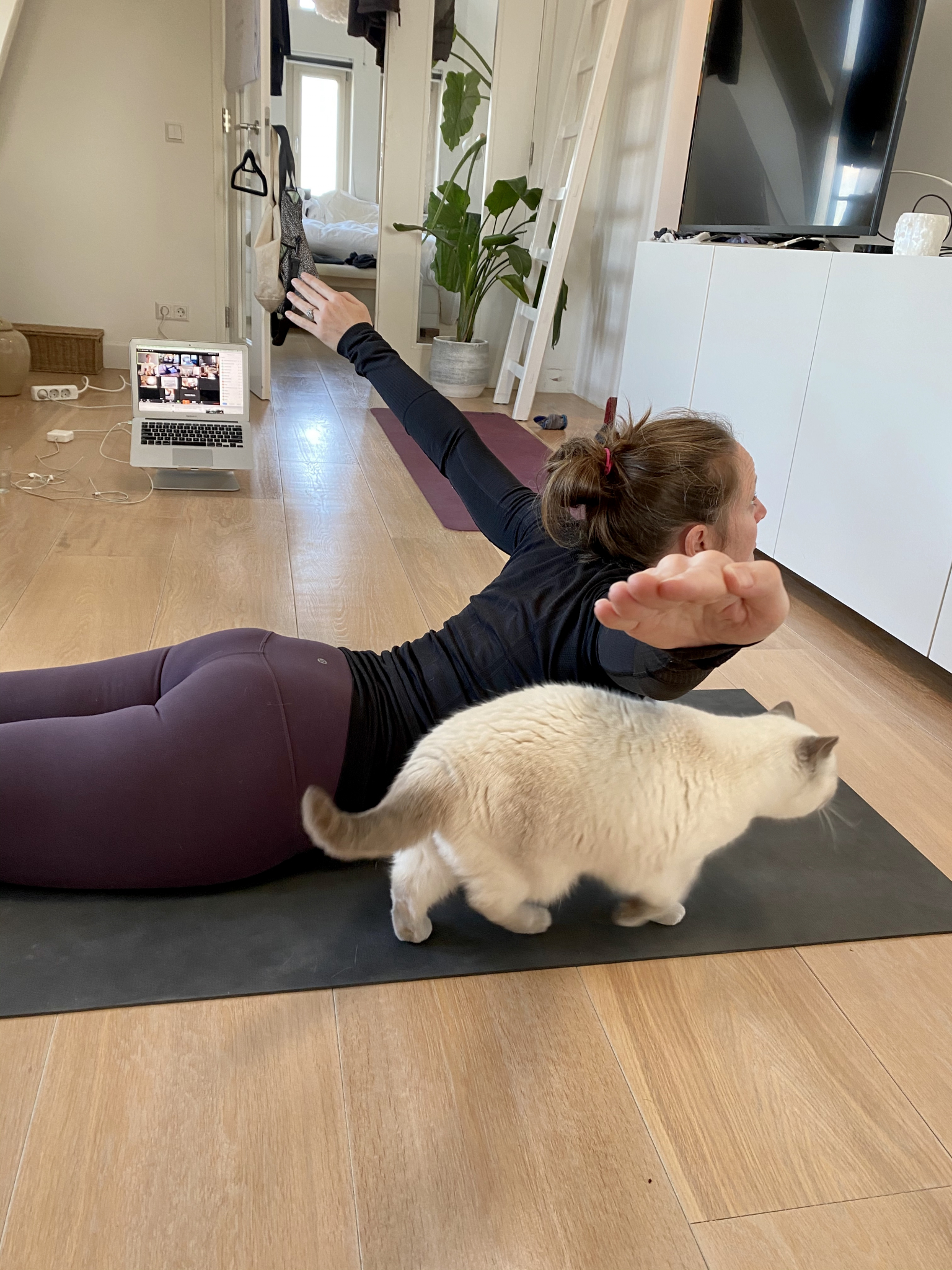 myyoga-virtual-school-4